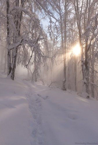 Долгожданная зима