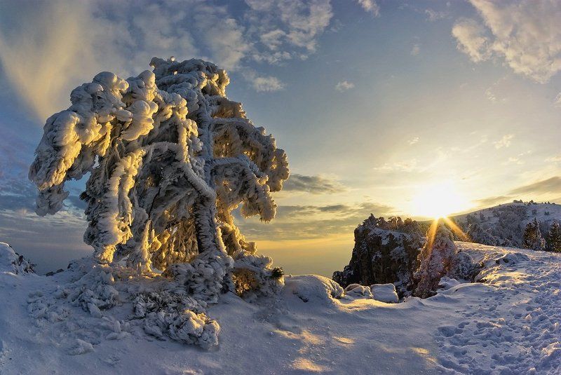 На краю фото превью