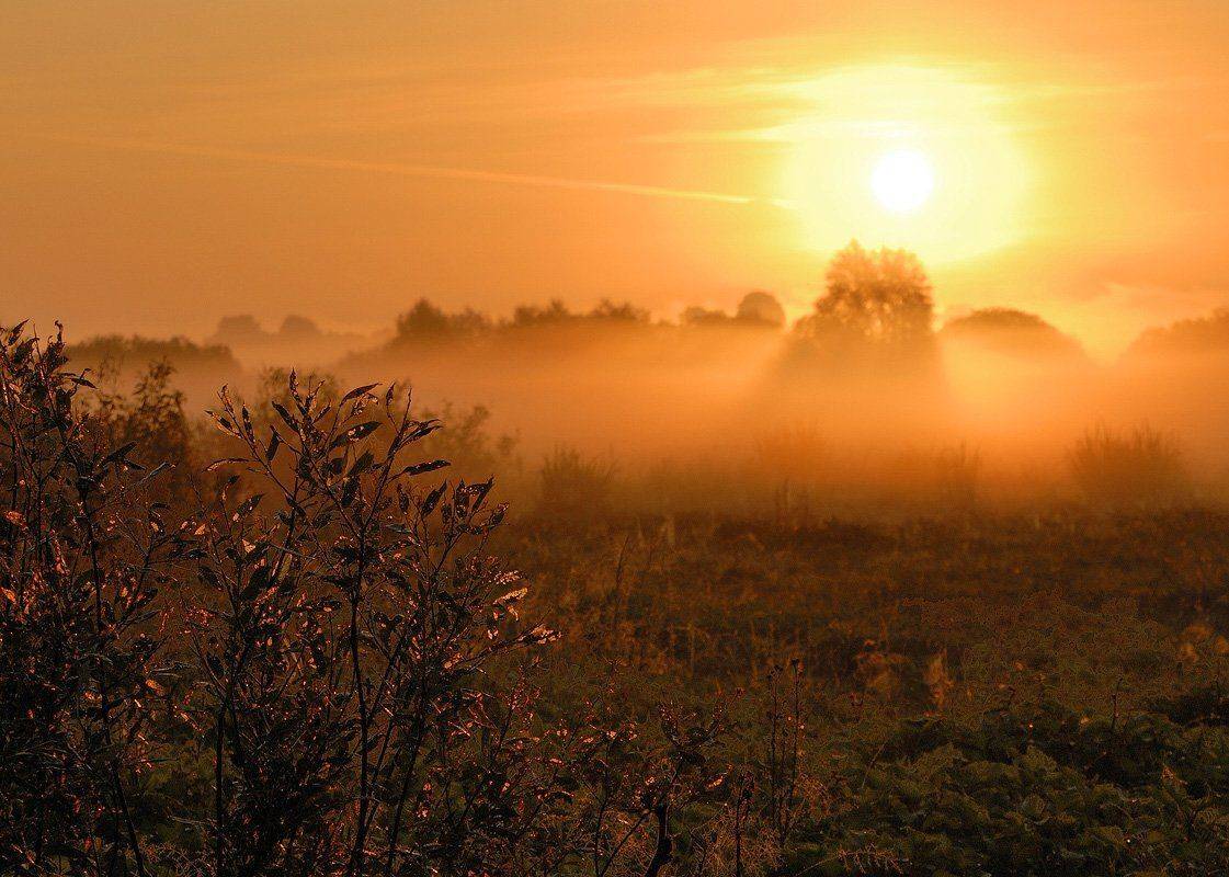 , Александр
