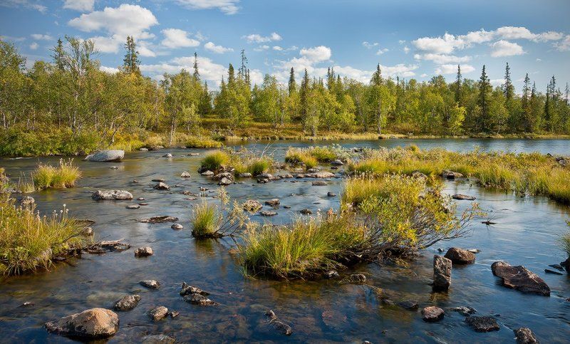 кольский, полуостров, река, лето Погожий день фото превью