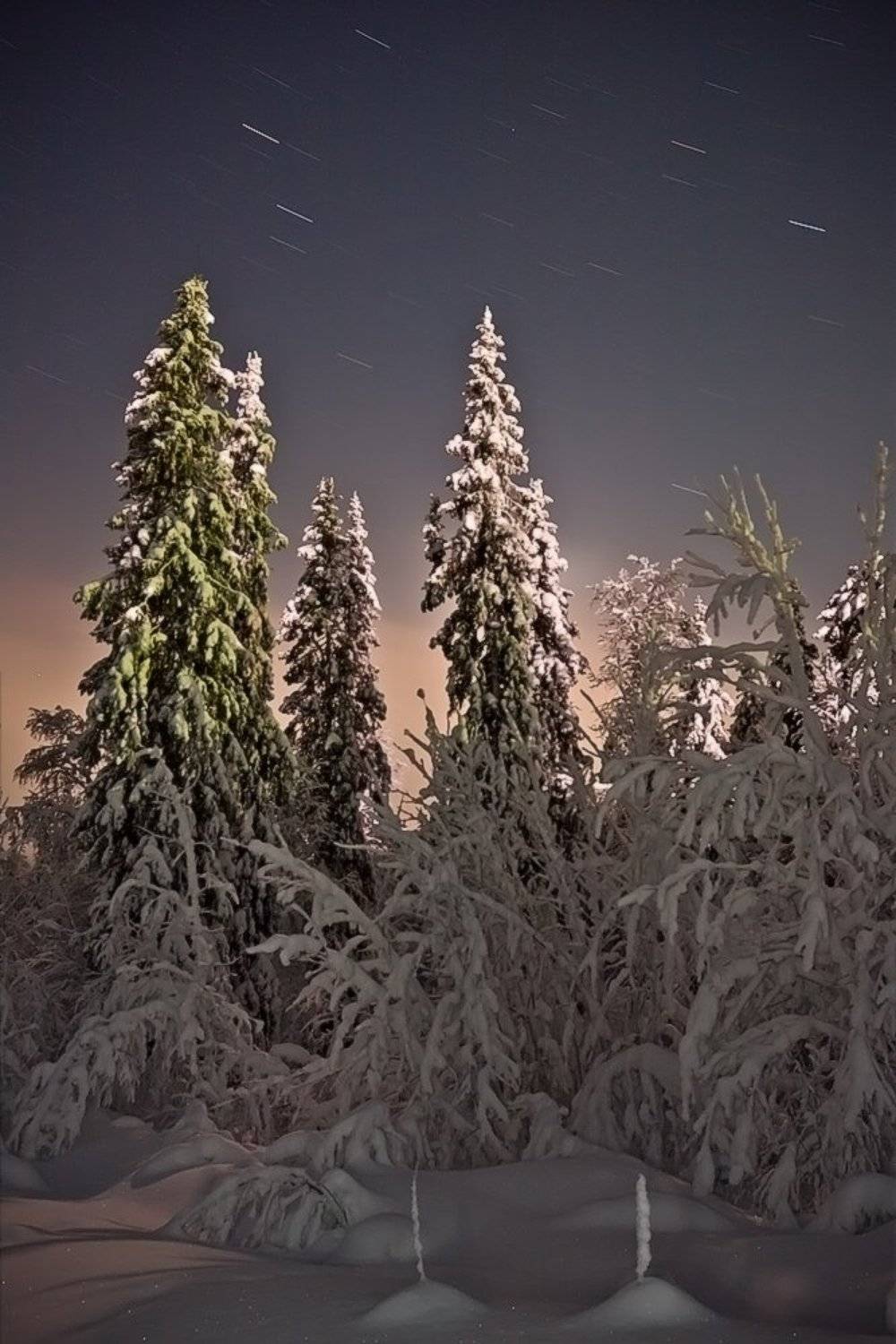 кольский, полуостров, зима, ночь, Nikolai (locus)