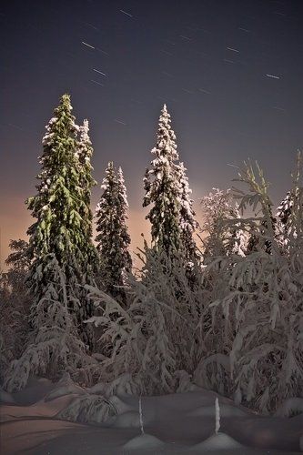 Подсвеченные луной