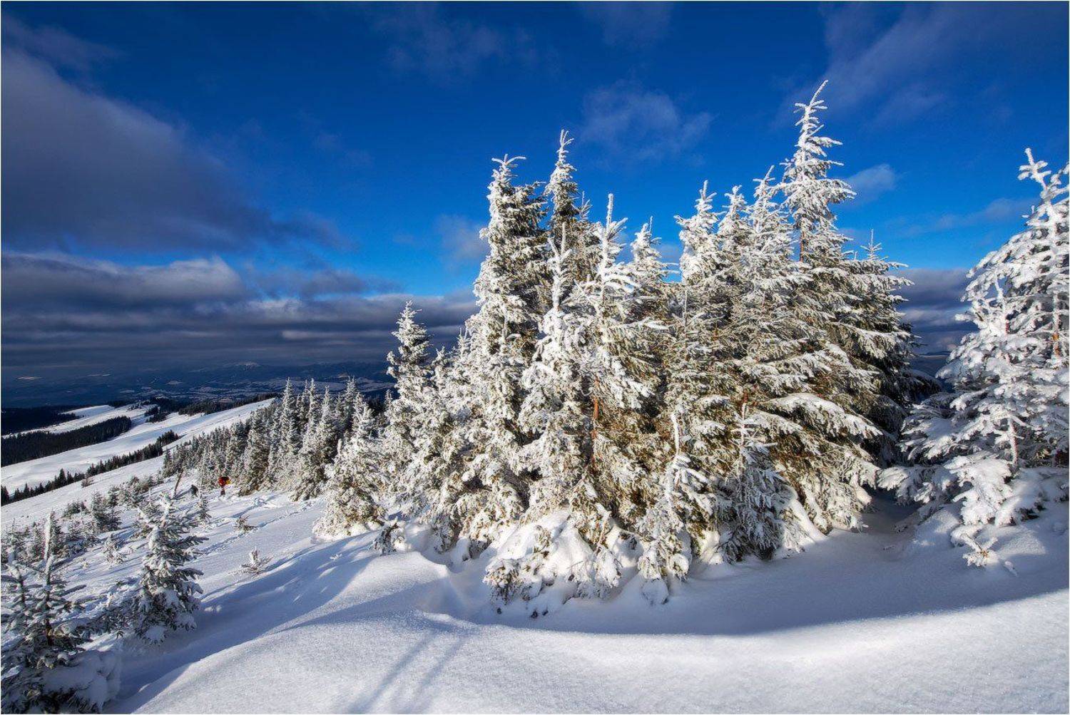 на, кукуле..., trinitrotoluol