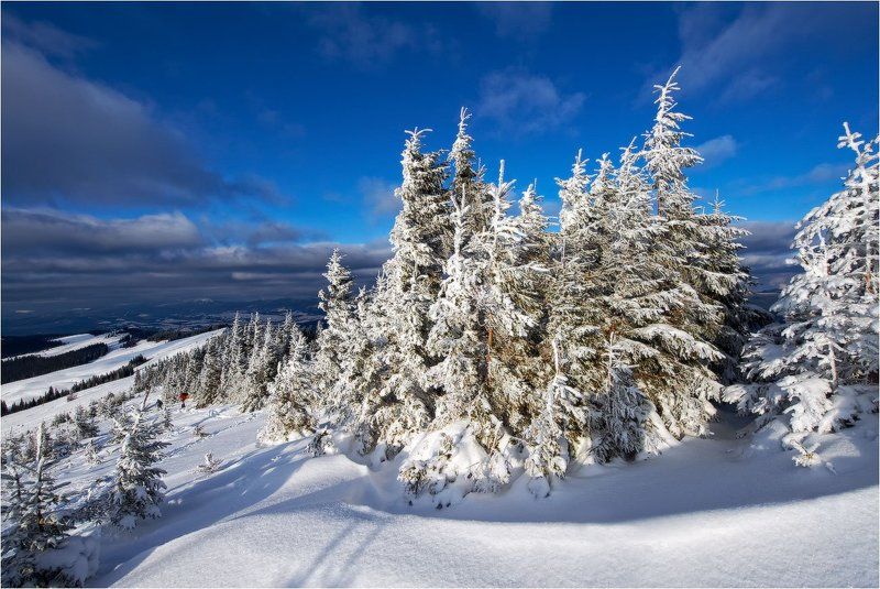 на, кукуле...  фото превью