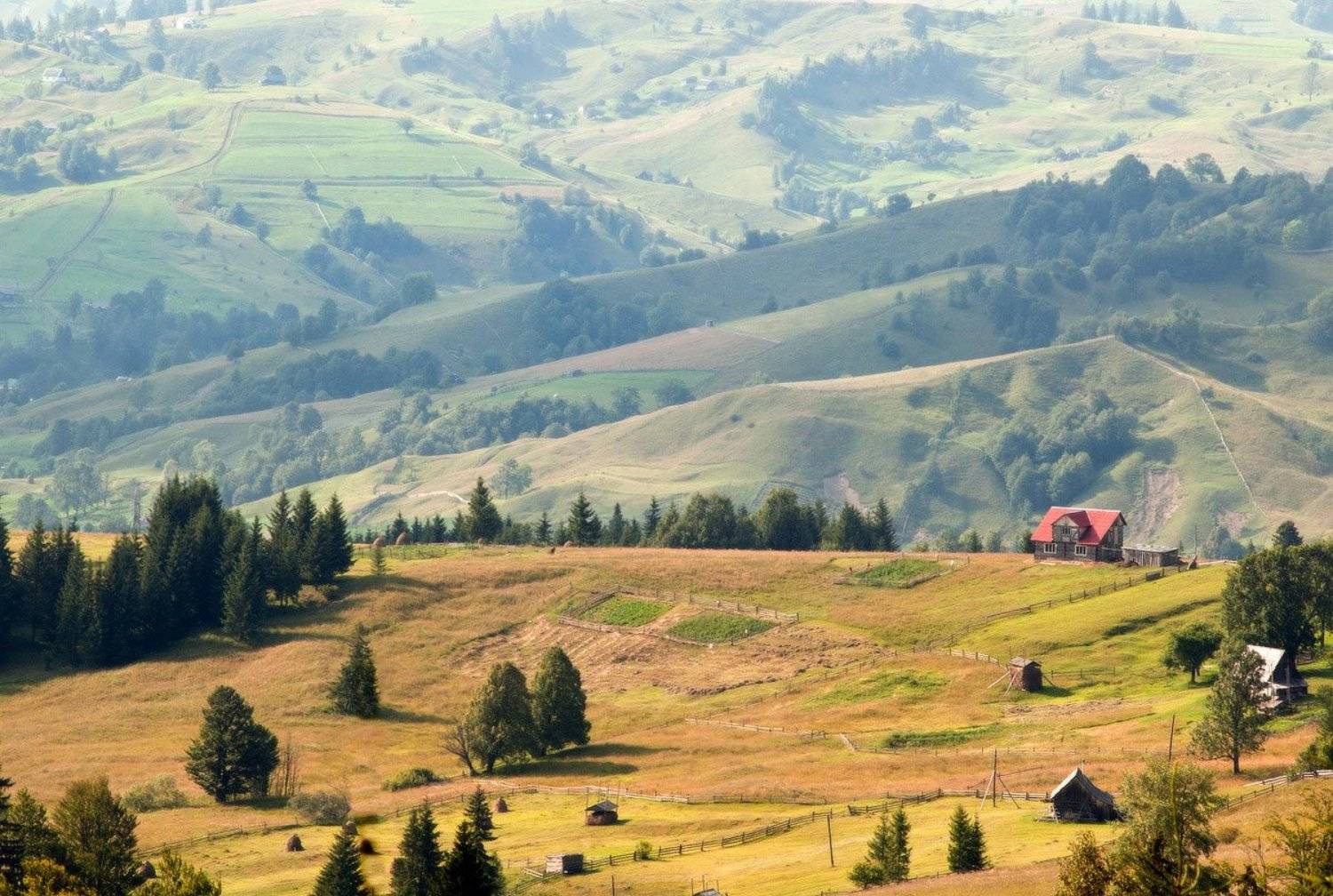 карпаты, лазещина, пейзаж, природа, Piligrim