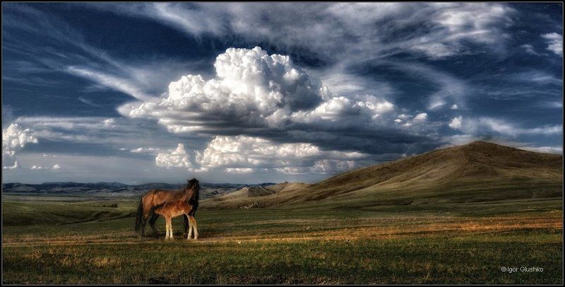 Степной этюд фото превью