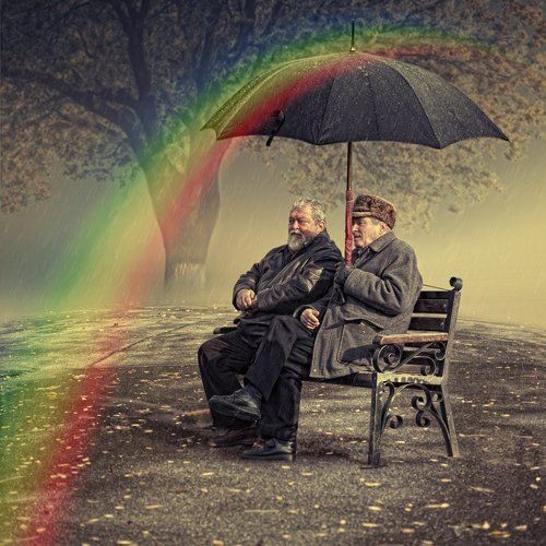 The storyteller
