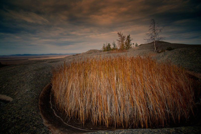 684646654 фото превью