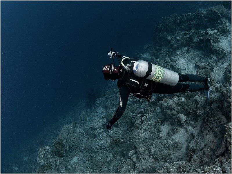 , Олег Федин