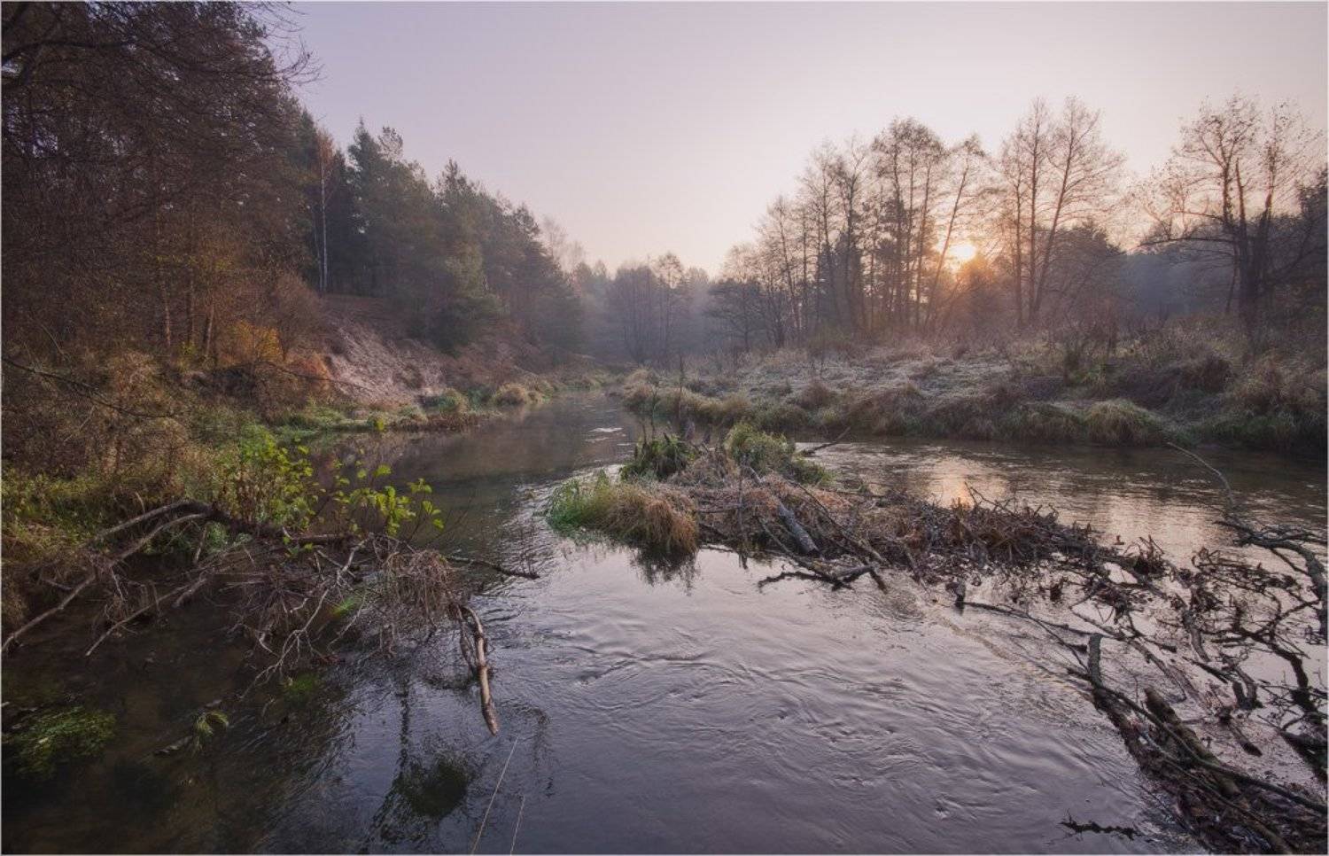 рассвет, река, осень, лес, Nethunter