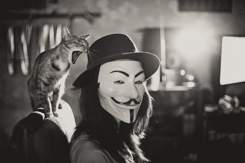 vendetta, anonymus, mask *** фото превью