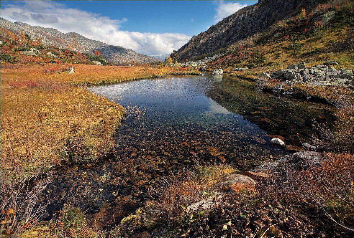 поднебесные, зубья, Александр Устинович