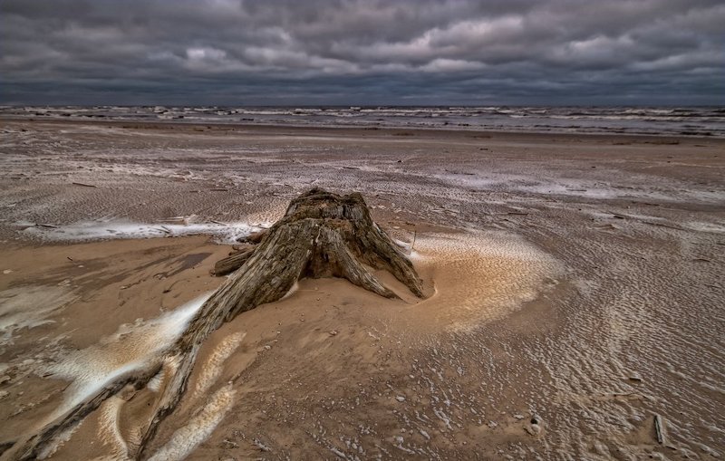 ползущий к истокам фото превью