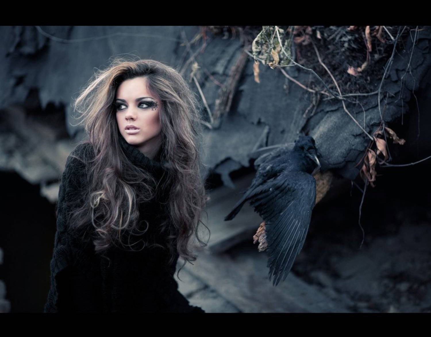 взгляд, Александр Ростов