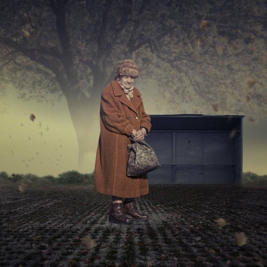 autumn, birds, old, tree, leaf, woman, alone, waiting, buss station, Caras Ionut