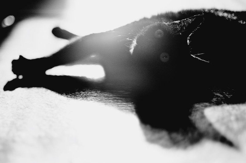 Ну не злись фото превью