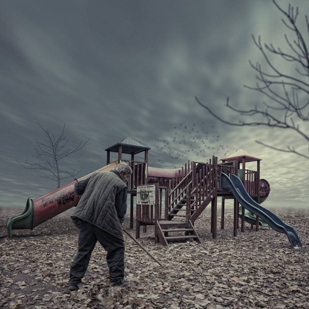 sky, birds, tree, leaf, man, slide, playground, cleaning, Caras Ionut