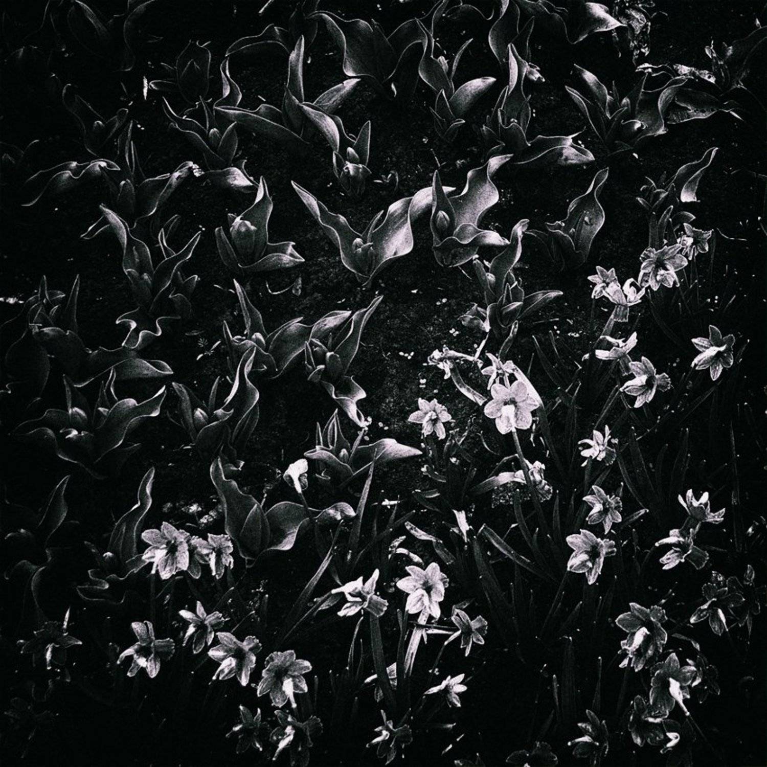 , Сергей Кобылько