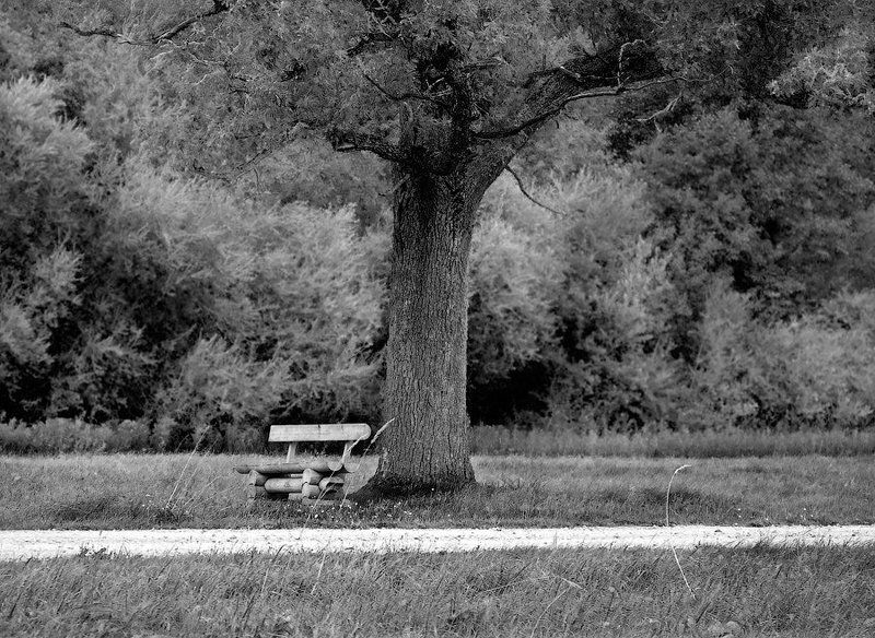 поговорим... фото превью