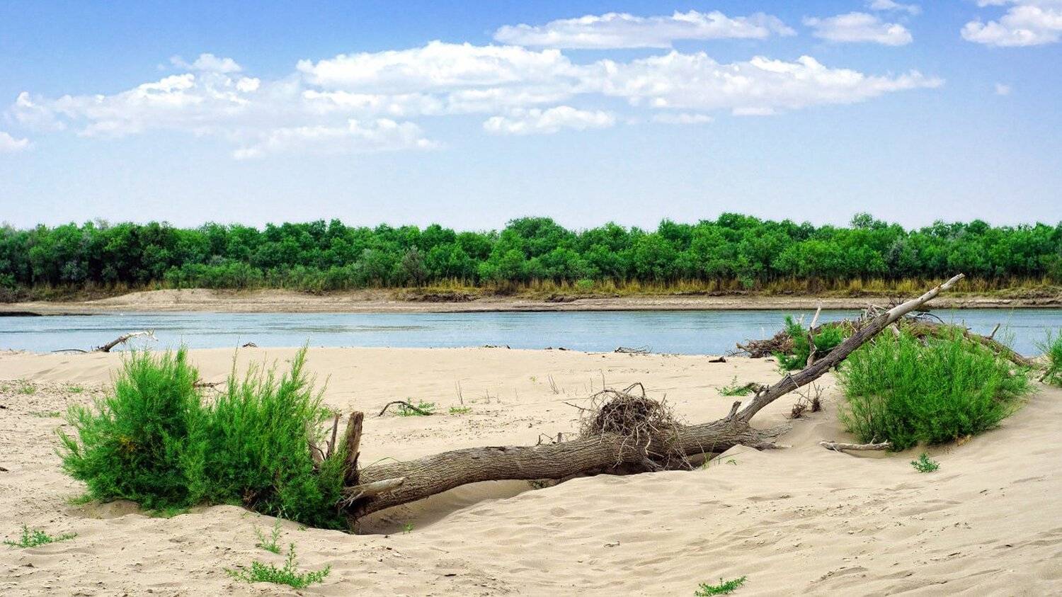 cырдарья, река, пейзаж, syrdarya, Valentin Ayupov