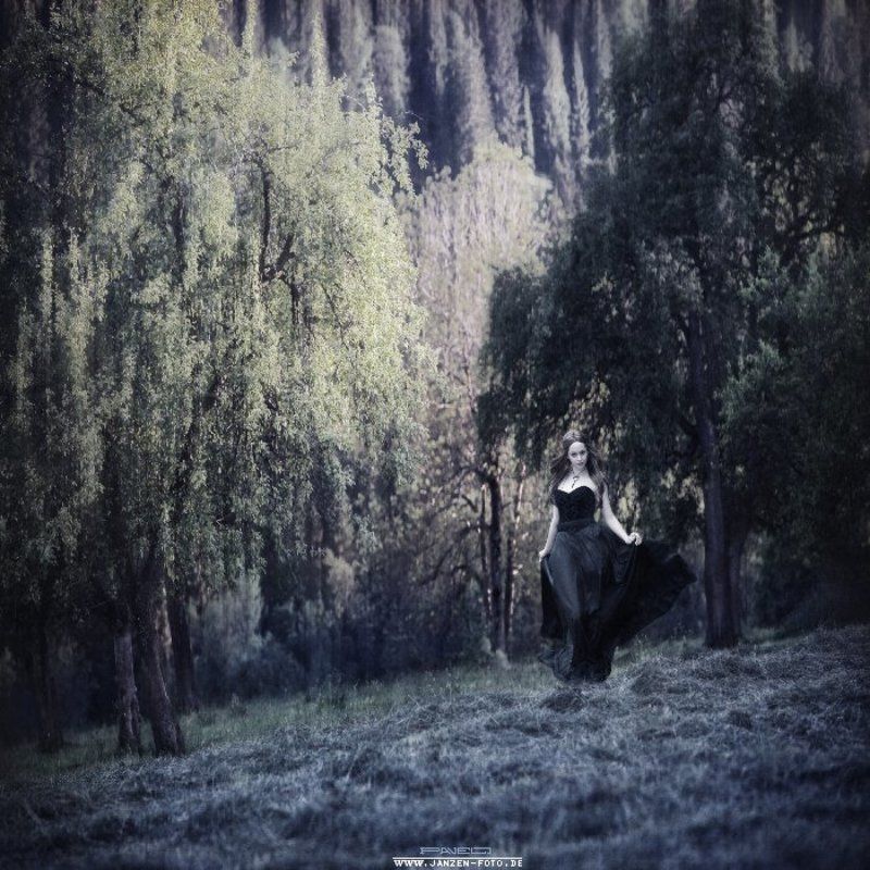 . фото превью