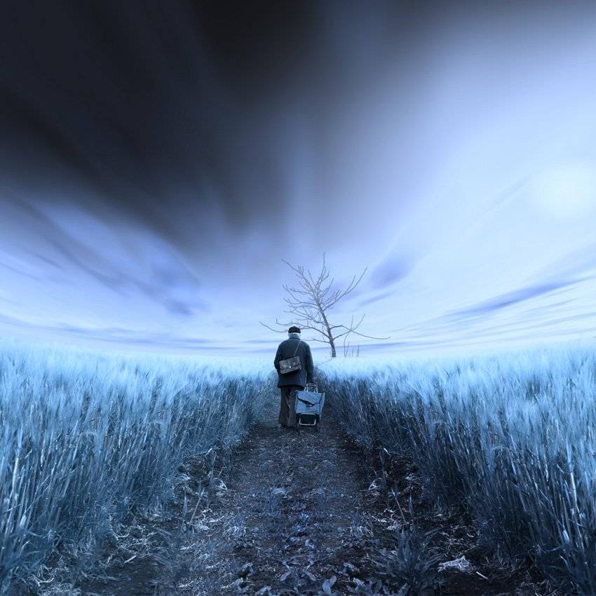 umbrella, clouds, tree, man, walk, alone, green, wheat, grey, ir, bag, infrared, goal, luggage, dreamer, shinning, ir, Caras Ionut