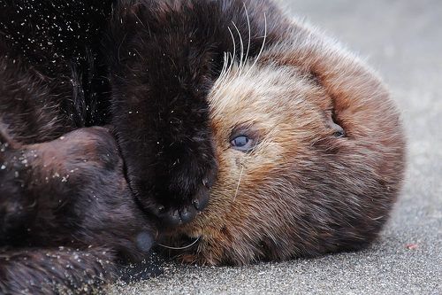 А так теплее!