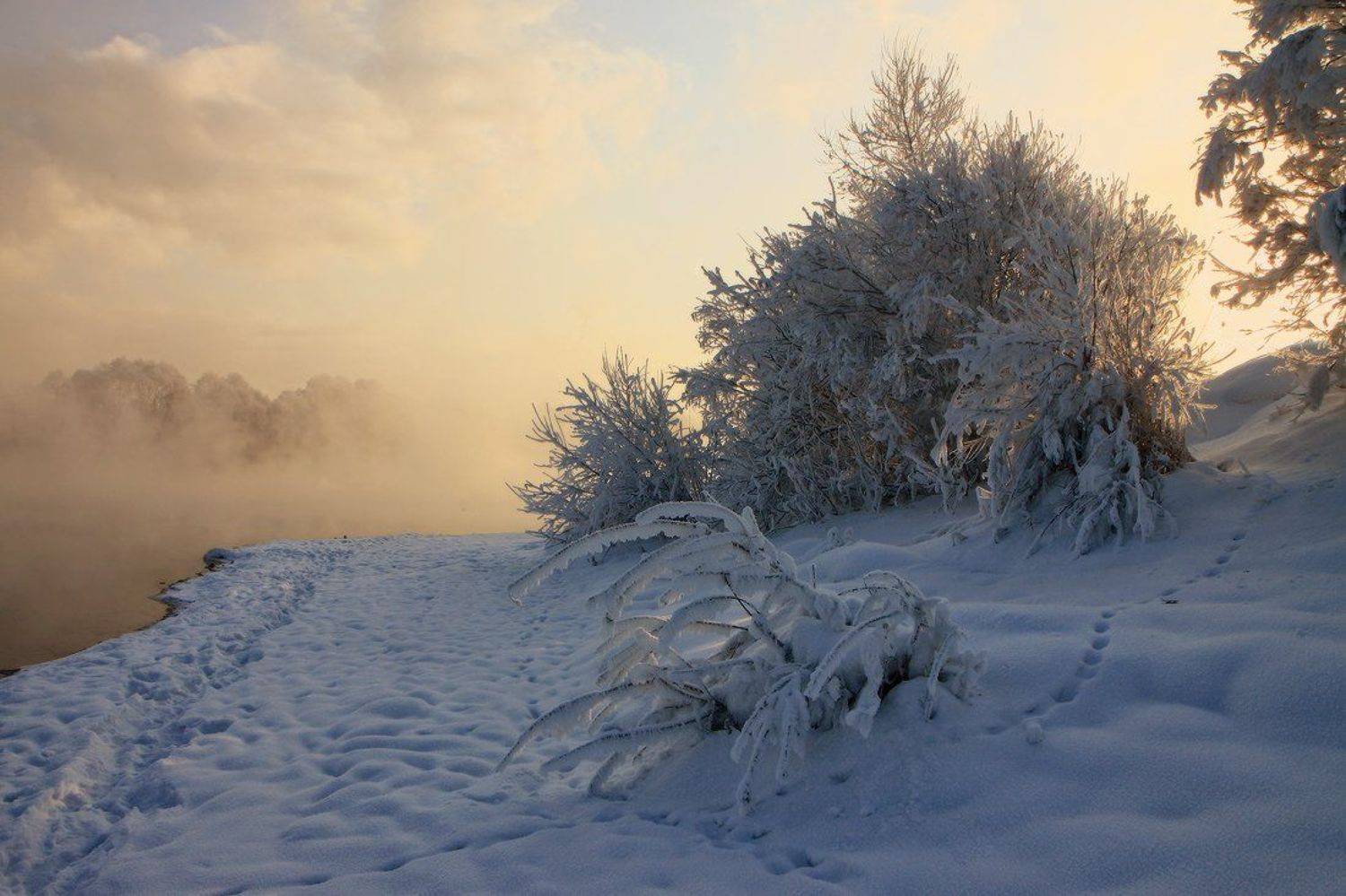 зима, река, туман, мороз, закат, томь, Галина Хвостенко