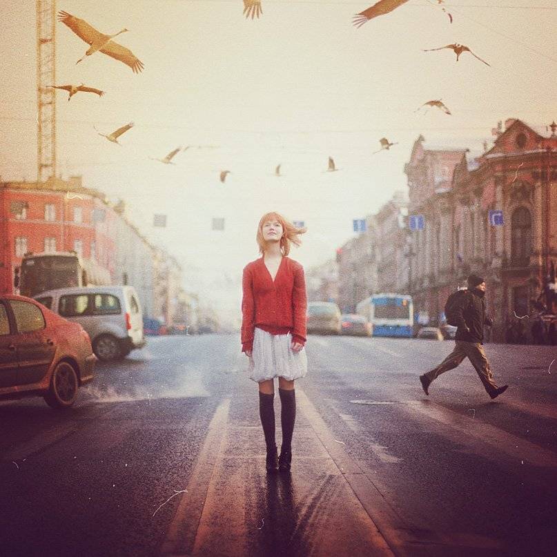 невский, журавли, момент, полет журавлей, Tertius Alio