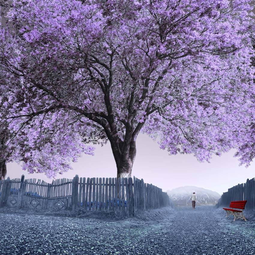 blue, tree, bench, man, walk, alone, walking, mounting, ir, fantasy, ping, Caras Ionut