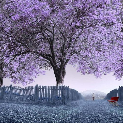 Wherever you go, finally you will come back home