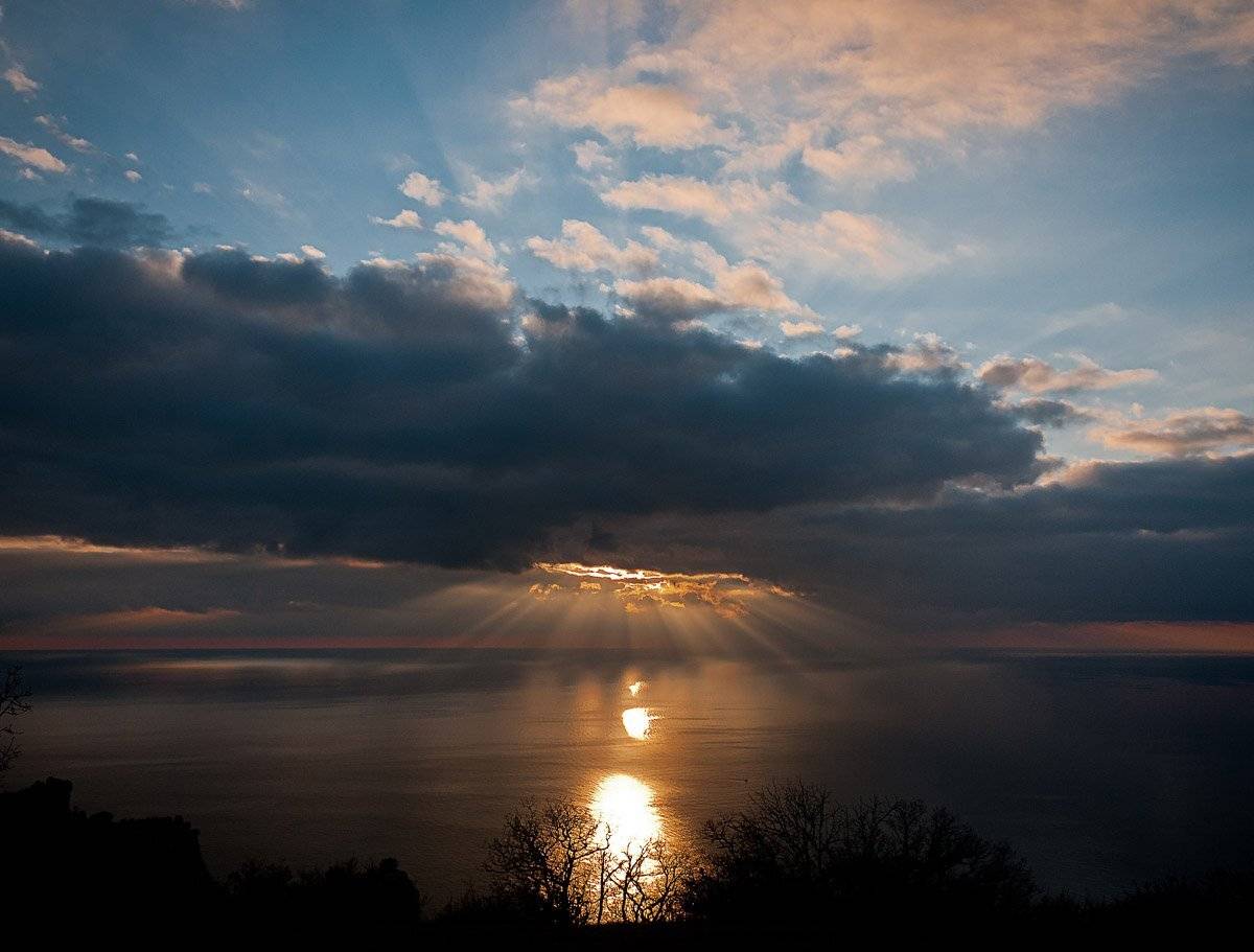 , максим куташев