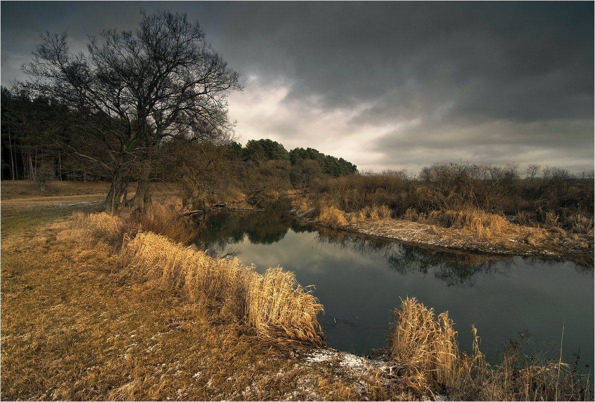 , Николай Шахманцир