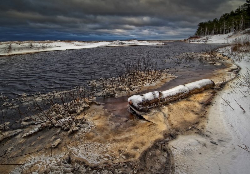 истории бревна фото превью