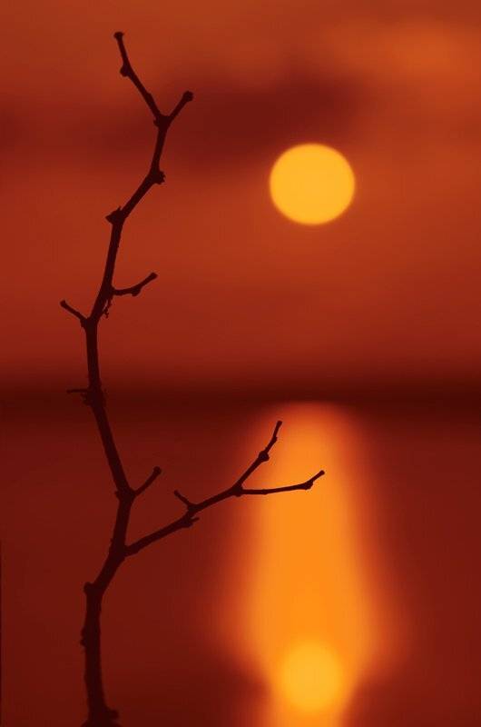 , Татьяна Аверина