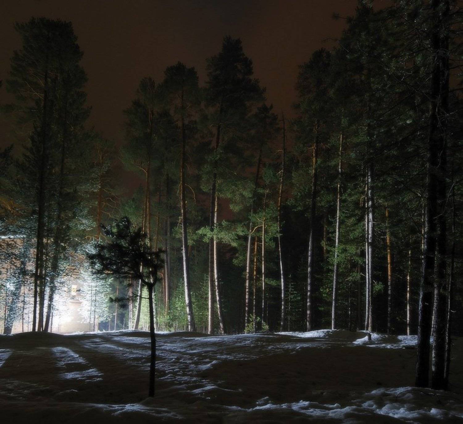 , Сергей Седов