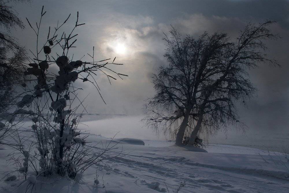 , Николай Морский