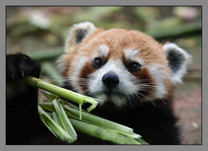 Хочешь попробовать? фото превью