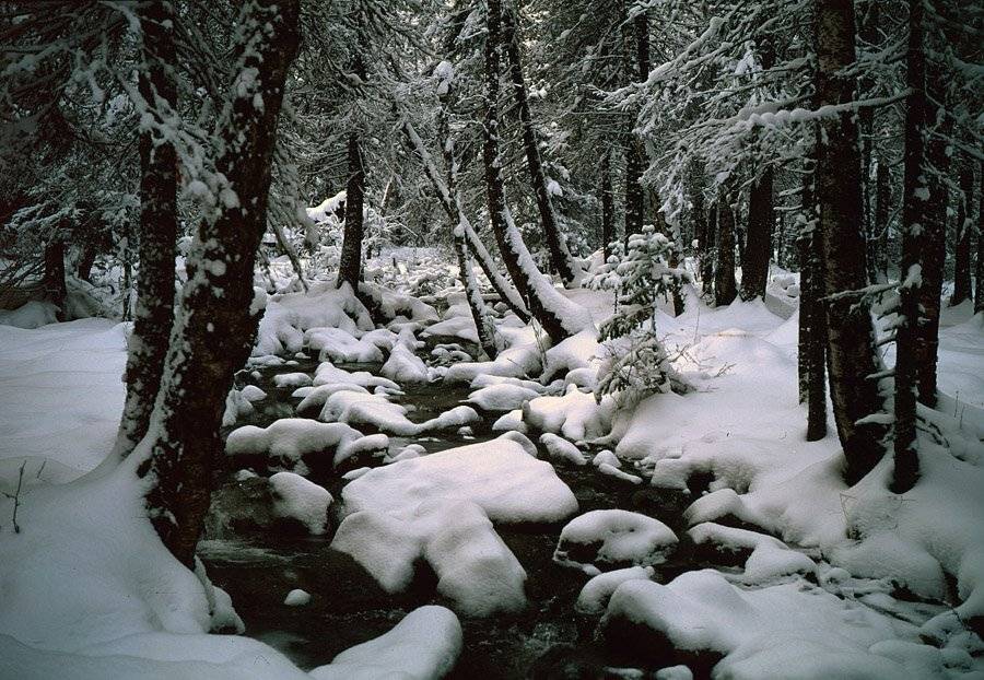 , Павел Мартюшев