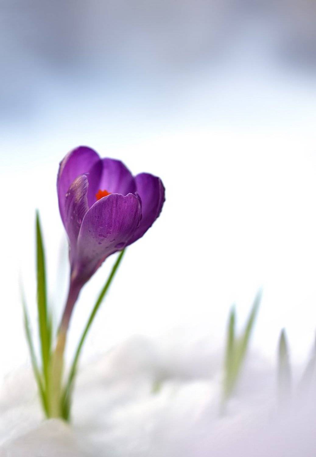 , Юлия Борзилова