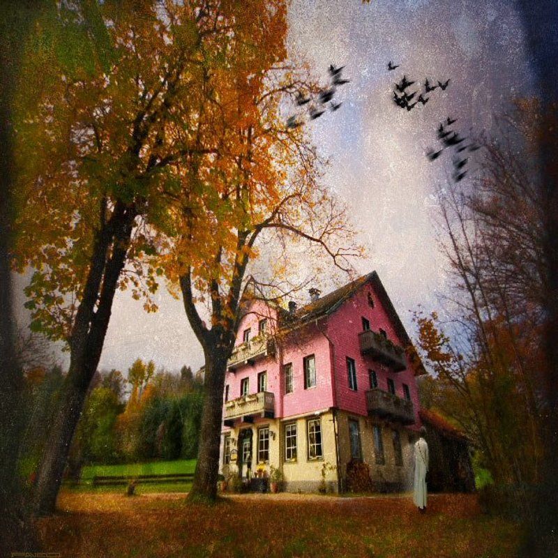 . фото превью