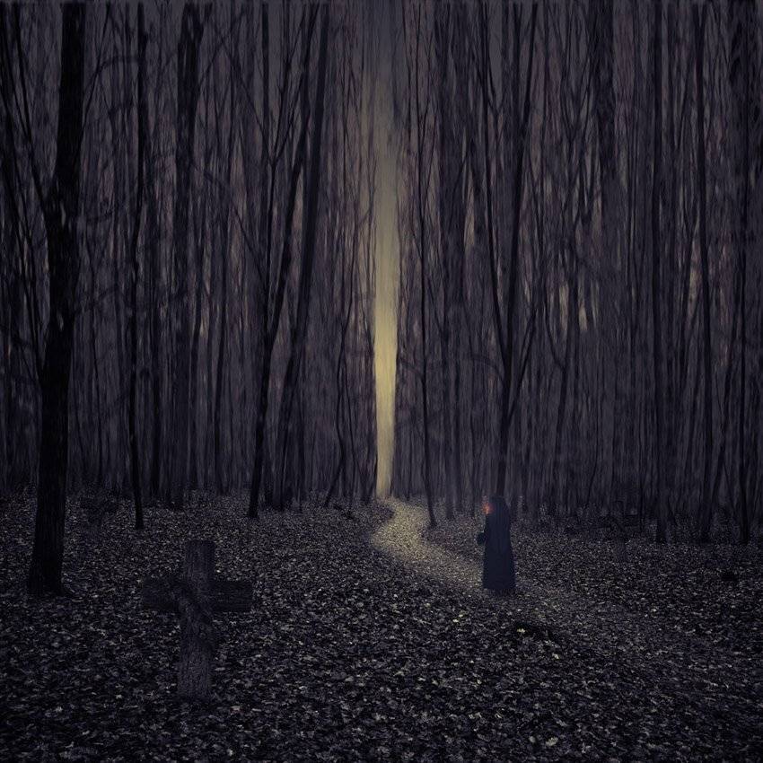 forest, cross, tree, walk, alone, stone, priest, journey, mistery, . river, Caras Ionut