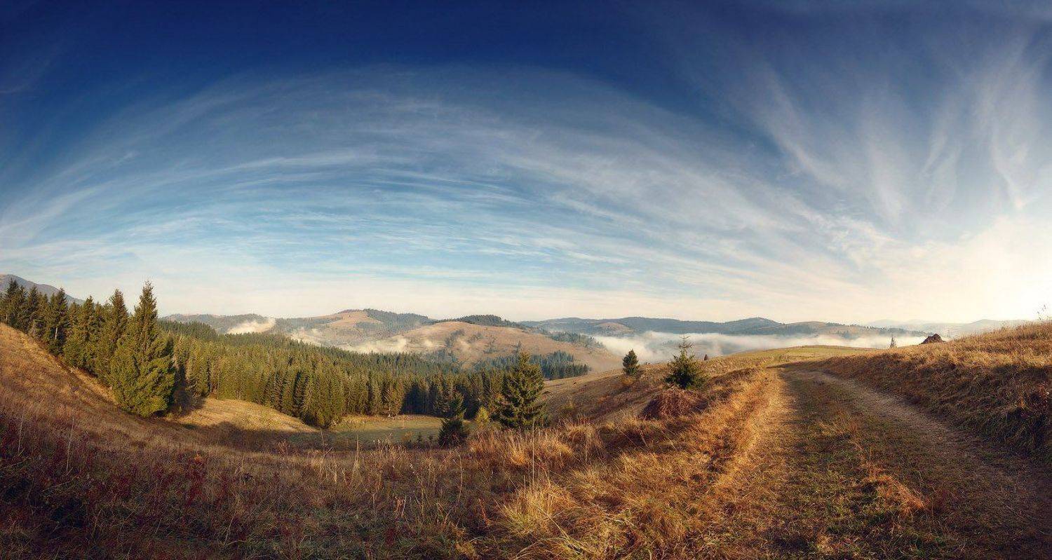 , Вейзе Максим