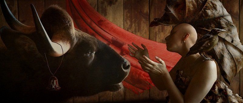 Покоренный взгляд фото превью