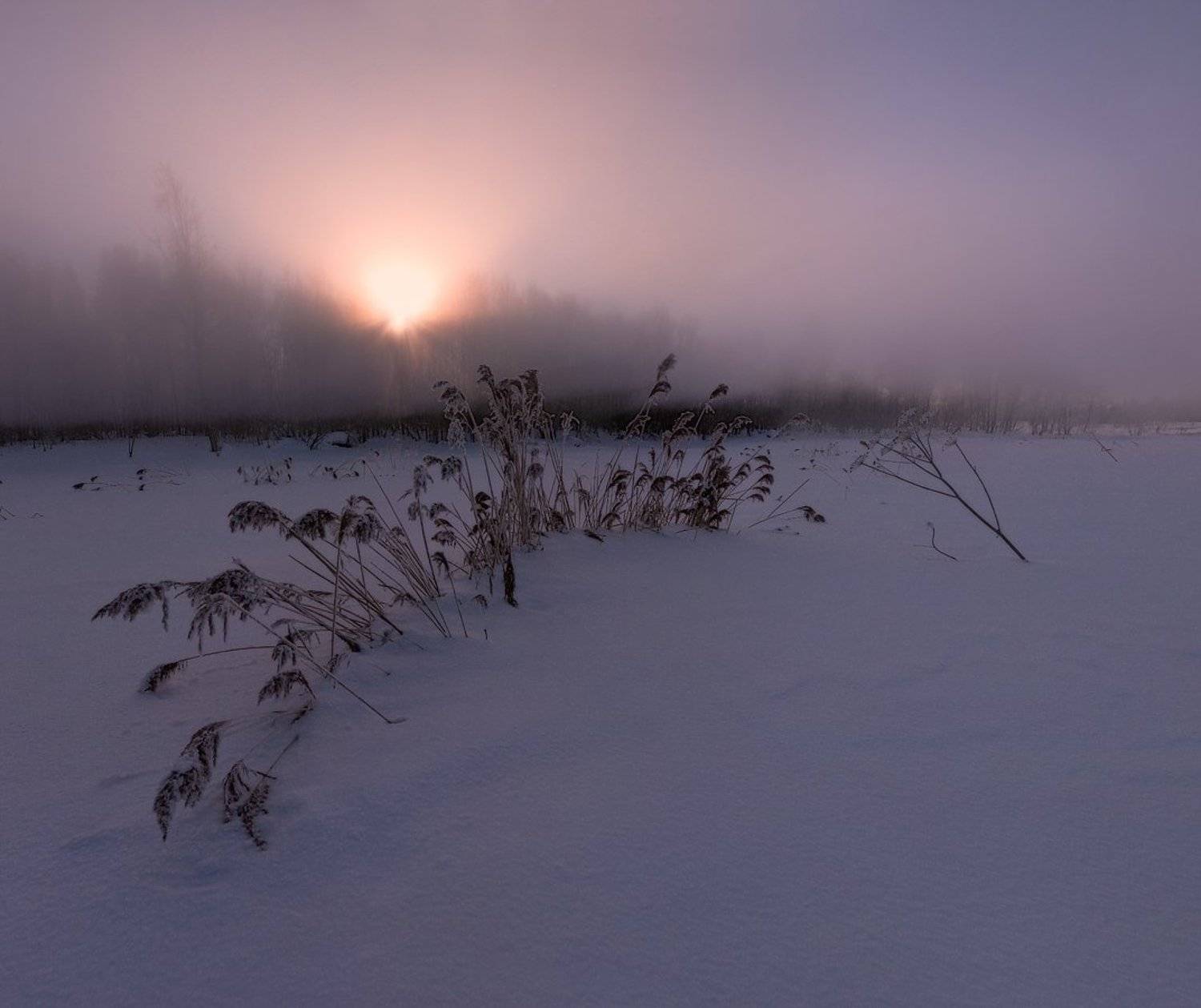 рассвет, туман, утро, восход, zapravka2