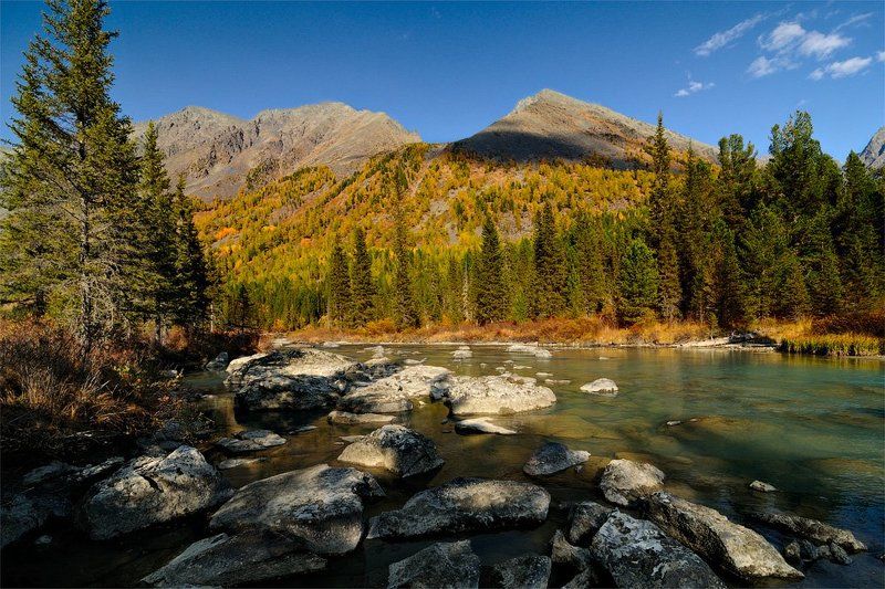 россия,  горный алтай, усть-коксинский район, катунский хребет, река мульта Мульта фото превью