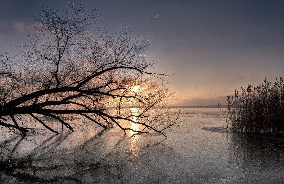 , Татьяна Аверина