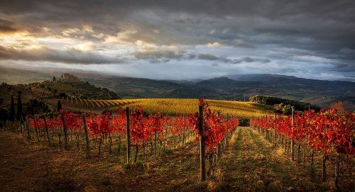 Сокровища Тосканы