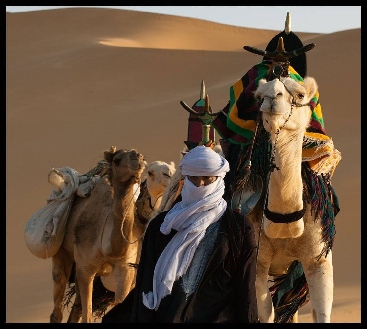 сахара, караван,ливия, дюна, песок, туарег, Виктория Роготнева