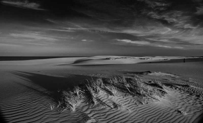 тишина Тишина фото превью